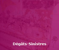 degats et sinistre