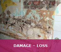 DAMAGE – LOSS 